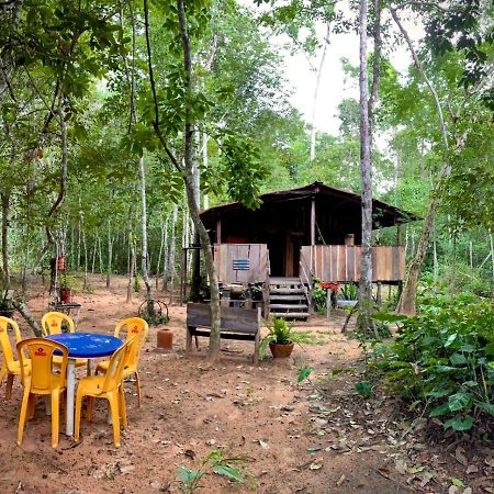 Hospedagem Aldeia Do Leao Hotel Carolina  Ngoại thất bức ảnh