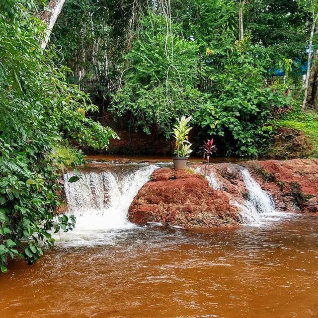 Hospedagem Aldeia Do Leao Hotel Carolina  Ngoại thất bức ảnh