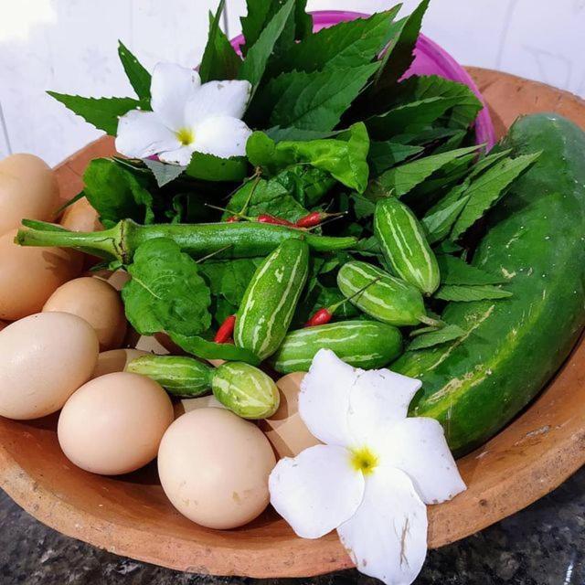 Hospedagem Aldeia Do Leao Hotel Carolina  Ngoại thất bức ảnh